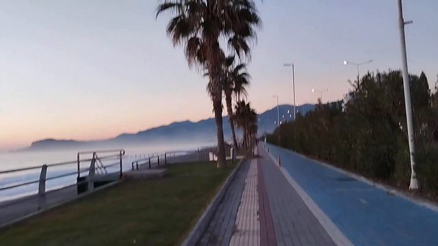 #walking🔥#sea#palmtrees#прогулка вечером🔥#море#пальмы#ALANYA#TÜRKİYE💖🇹🇷#video#27.12.23 смотреть онлайн