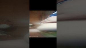 пустой живот