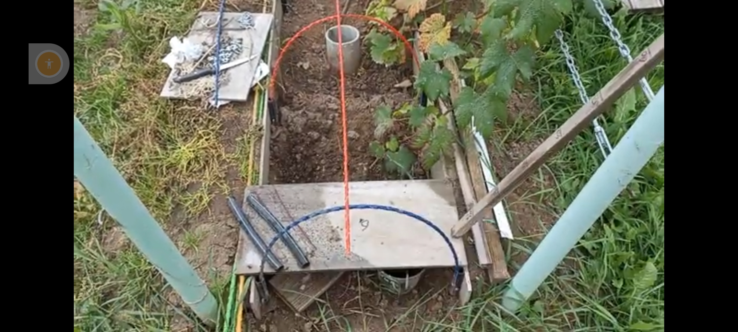 ВИНОГРАДНАЯ ШПАЛЕРА смотреть онлайн