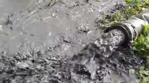 Очистка пруда от ила