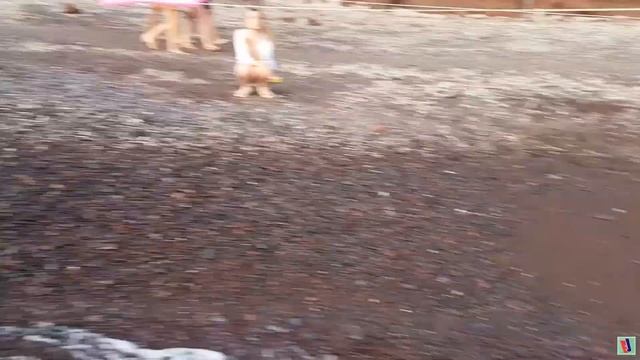 2 Часть влога с SANTORINI и как не надо дрифтить на квадро цикле!!! смотреть онлайн
