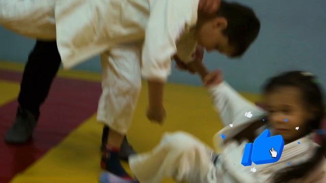 В Какой Спорт Отдать Ребенка | В Какую Секцию Какие Качества у Детей Развивают Детские Единоборства смотреть онлайн