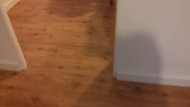 ARTENS abeto AC4. Parquet laminado смотреть онлайн