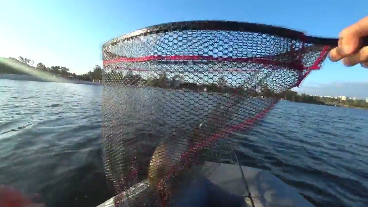 СНОВА СРАБОТАЛ ПЕРЕГРУЗ! Ловля на спиннинг CF с лодки! POLARIS 3 дюйма снова сделал рыбалку! Рыбалка смотреть онлайн