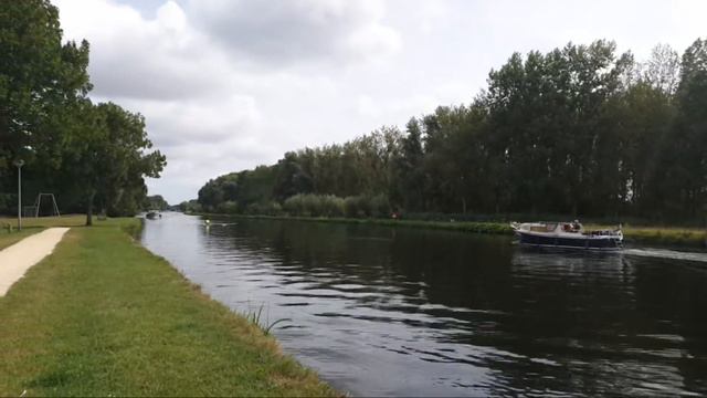 Это #ИВАН-ЧАЙ ? #История нашей #Лили История #семьи смотреть онлайн