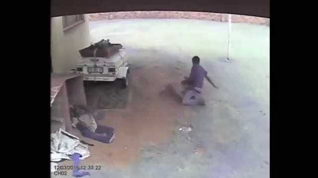 10 САМЫХ ОПАСНЫХ ПОРОД СОБАК смотреть онлайн