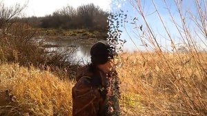 Сайга 12к исп 030 охота на бобра