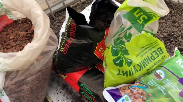 Сажаю рассаду каскадной петунии в кашпо.