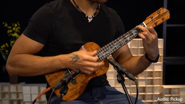 Elite Series Concert Size Ukulele by Ortega Guitars - Solid Acacia Top - RUET-ACA смотреть онлайн