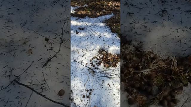 РАБОТА ЭЛЕКТРОМОНТАЖНИКА смотреть онлайн