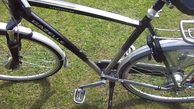 Gazelle CHAMONIX EXCELLENT