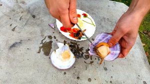 Сырой Морской Гребешок
