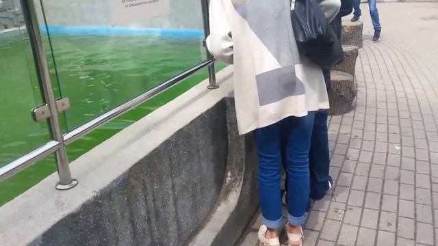 Зоопарк Калининграда смотреть онлайн