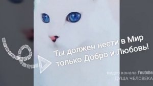 Делай что должен и будь что будет