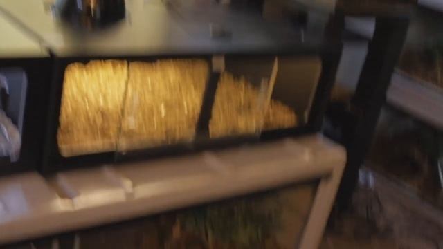 Handling A Defensive Snake Pt. 2! +Blue Beauty, Anaconda, & Burmese Python Get Cage Upgrades смотреть онлайн