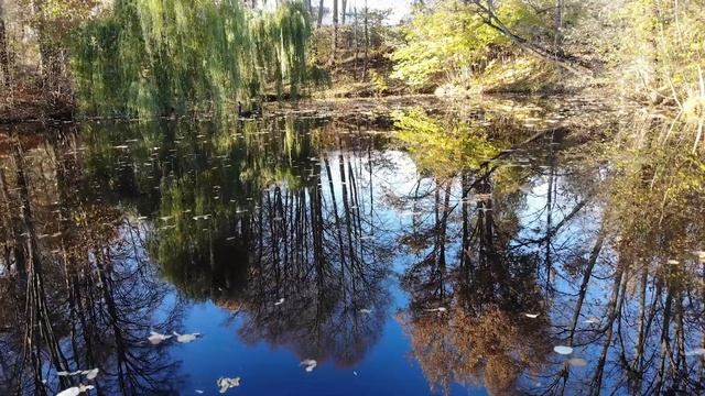 Усадьба в Баранцево 33 Га смотреть онлайн