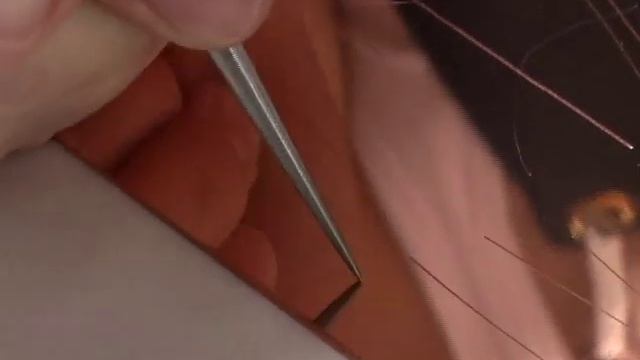 Crown Point Press: Drypoint Technique смотреть онлайн