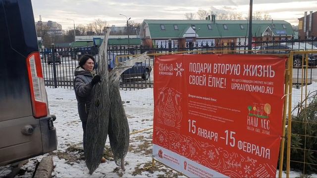 Куда нести ёлку после новогодних праздников смотреть онлайн