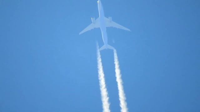 China Airlines A350 Contrailing (Mikado Pheasent Livery) смотреть онлайн