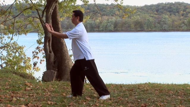 Tai Chi for Beginners | Full 24 Yang Style Tai Chi Form | Best Instructional Video To Learn Tai Chi смотреть онлайн
