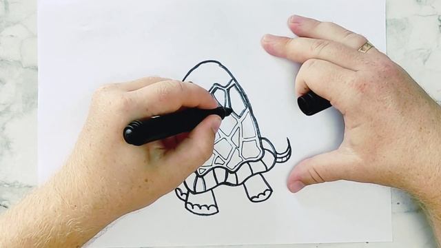 How to draw a cartoon turtle / Как нарисовать мультяшную черепаху / 如何绘制卡通乌龟 / смотреть онлайн