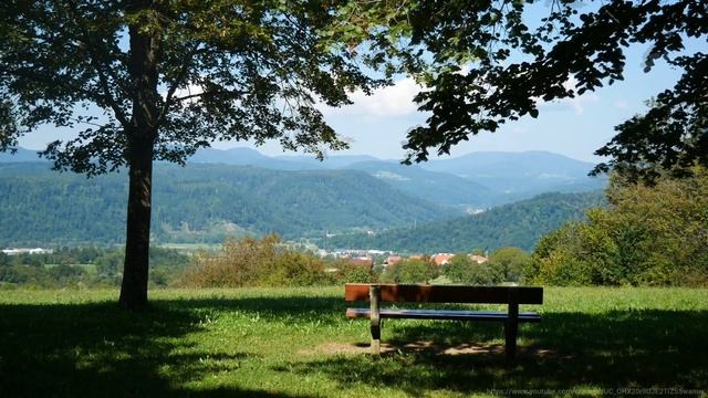 Пение птиц лечит нервную систему, исцеляет душу и поднимает настроение/Sounds Of Nature/Relax/