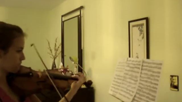 Vivaldi "Summer" Movement 3. Presto (with violin solo) смотреть онлайн