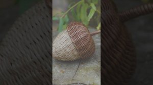 Фото моих работ, для настроения. почти на все есть видео