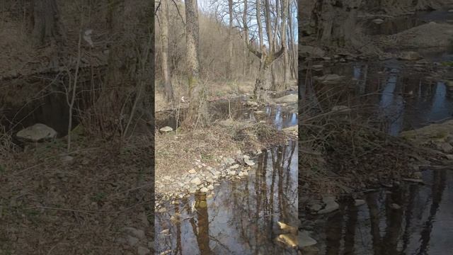 Село Младежко