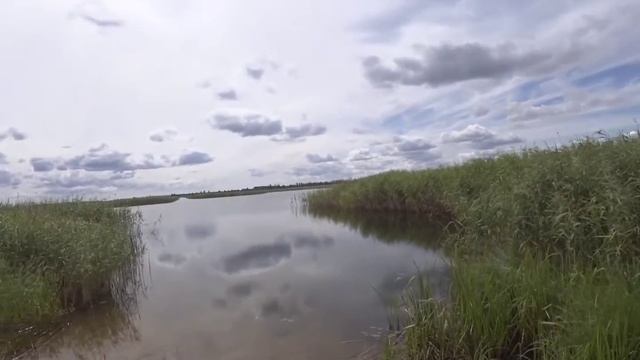 Поездка на самое большое озеро Латвии.Природа латгалии. смотреть онлайн