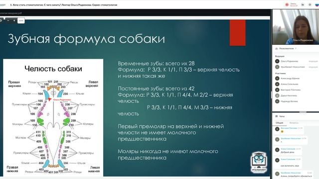 Хочу стать стоматологом С чего начать. Лектор Ольга Родионова #убвк_стоматология смотреть онлайн