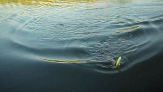 Рыбалка в ЮКО смотреть онлайн