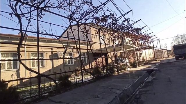 Прогулка по медгородку, зимний ТашМи, знаменитая 