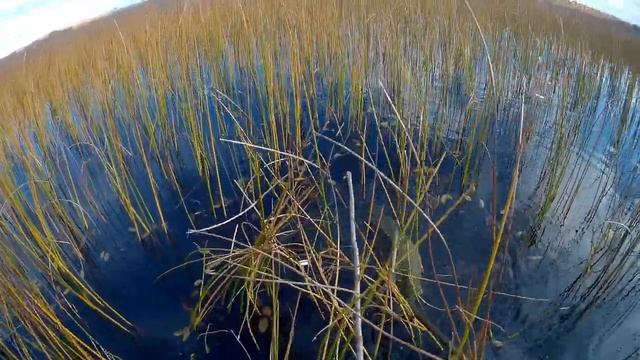 Необычные кружки на щуку смотреть онлайн