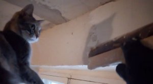 Штукатурка и шпатлевание стен комнаты как подготовка к поклейке их обоями