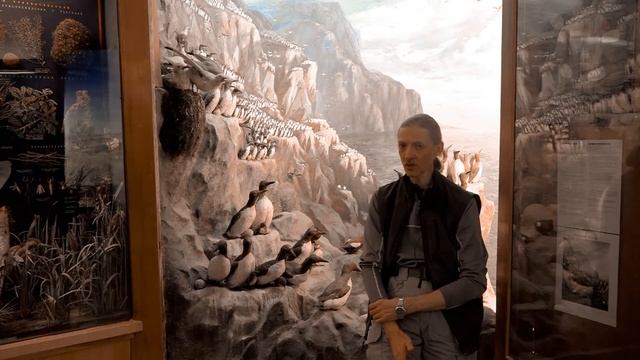 Как снимать птиц смотреть онлайн