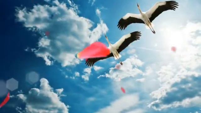 Сладких снов любимая. смотреть онлайн