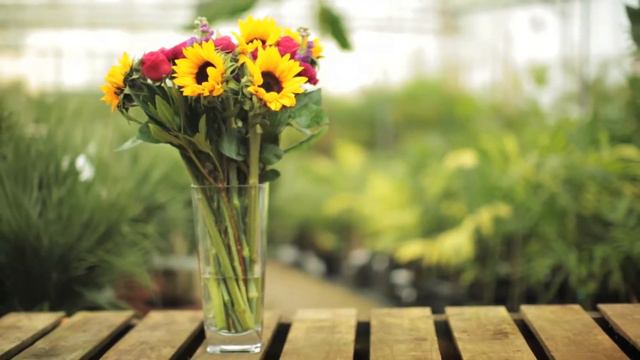Summer Flowers - M&S смотреть онлайн