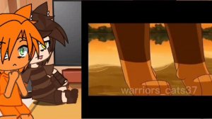 Реакция Коты-воители|| Реакция Звездоцапа на Ежевику+ Огнезвезд|| [Gacha Club]