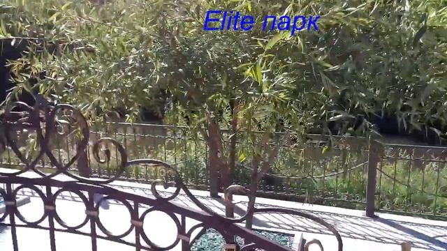 Пикник в Элит парке, у реки Басандайка, Томск смотреть онлайн