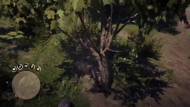 Funniest Thing While Taming a Mustang LOL Red Dead Redemption 2 смотреть онлайн