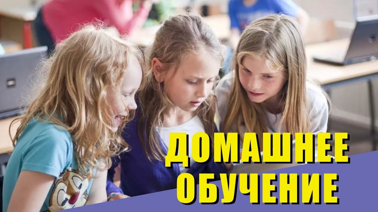 Как перевести ребенка на домашнее обучение. Онлайн школа смотреть онлайн
