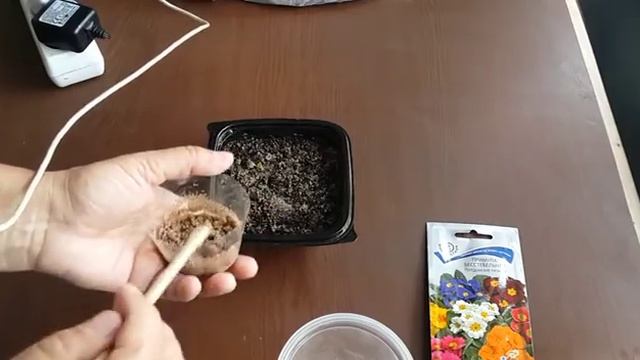 Посев семян примулы. Способ 1 смотреть онлайн