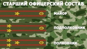 ТИПЫ, КЛАССИФИКАЦИЯ ЗВАНИЙ И ВИДЫ ПОГОН