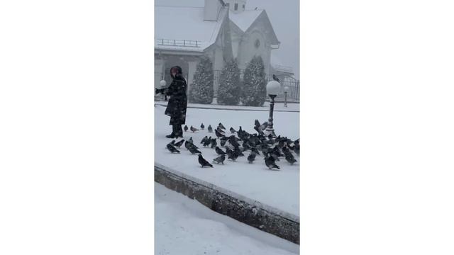Непогода 4 марта и птицы смотреть онлайн