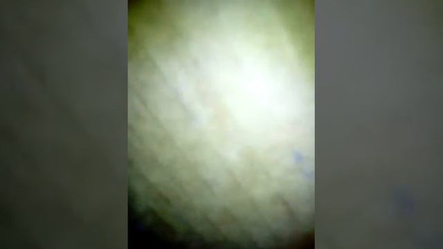 Ночь в закрытой коробке челэндж#2 смотреть онлайн