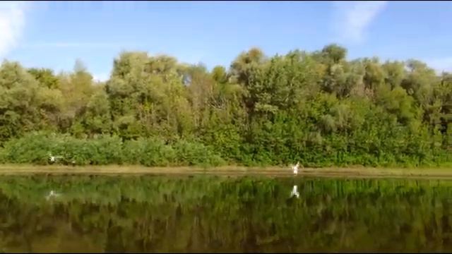 ПОИСК ЩУКИ на большой реке. Стараюсь Поймать в Популярных Местах смотреть онлайн