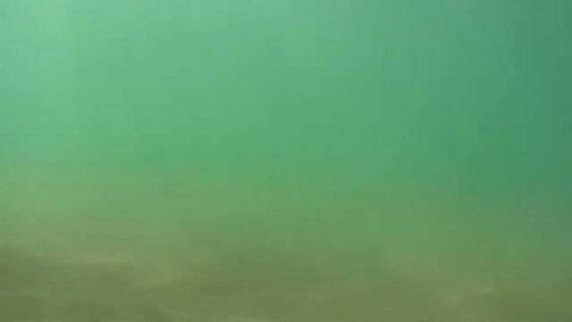 Дно пляжа смотреть онлайн