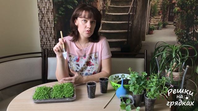 КОГДА и КАК пикировать лобелию? А это очень легко и просто!!! смотреть онлайн