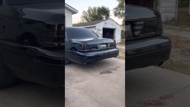 Cammed crown Vic смотреть онлайн